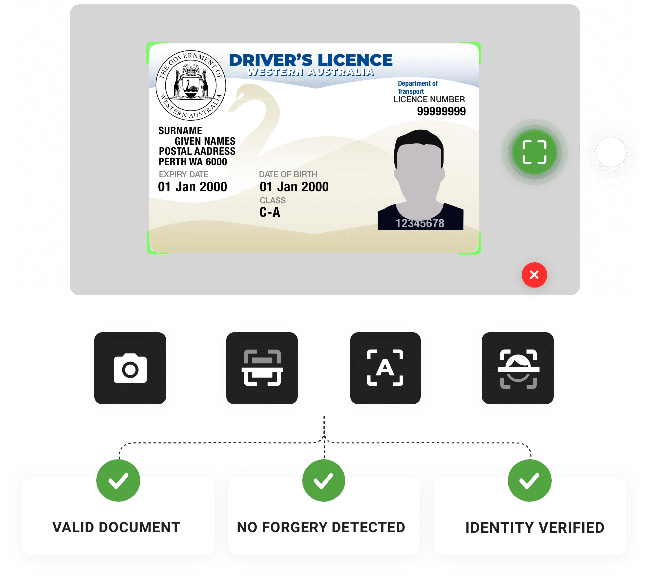 Drivers Licences Example